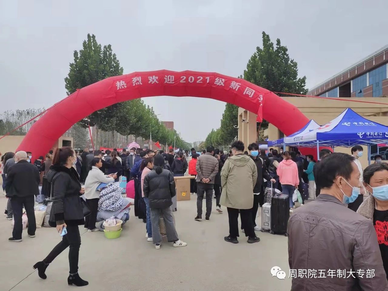 谈球吧app下载