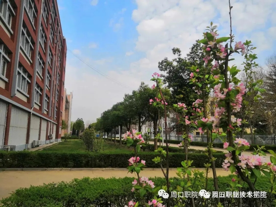谈球吧app下载