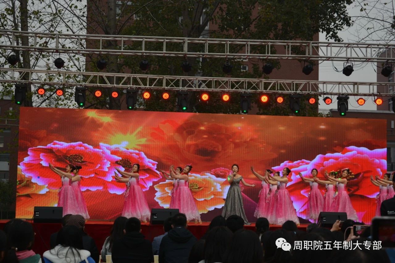 谈球吧app下载