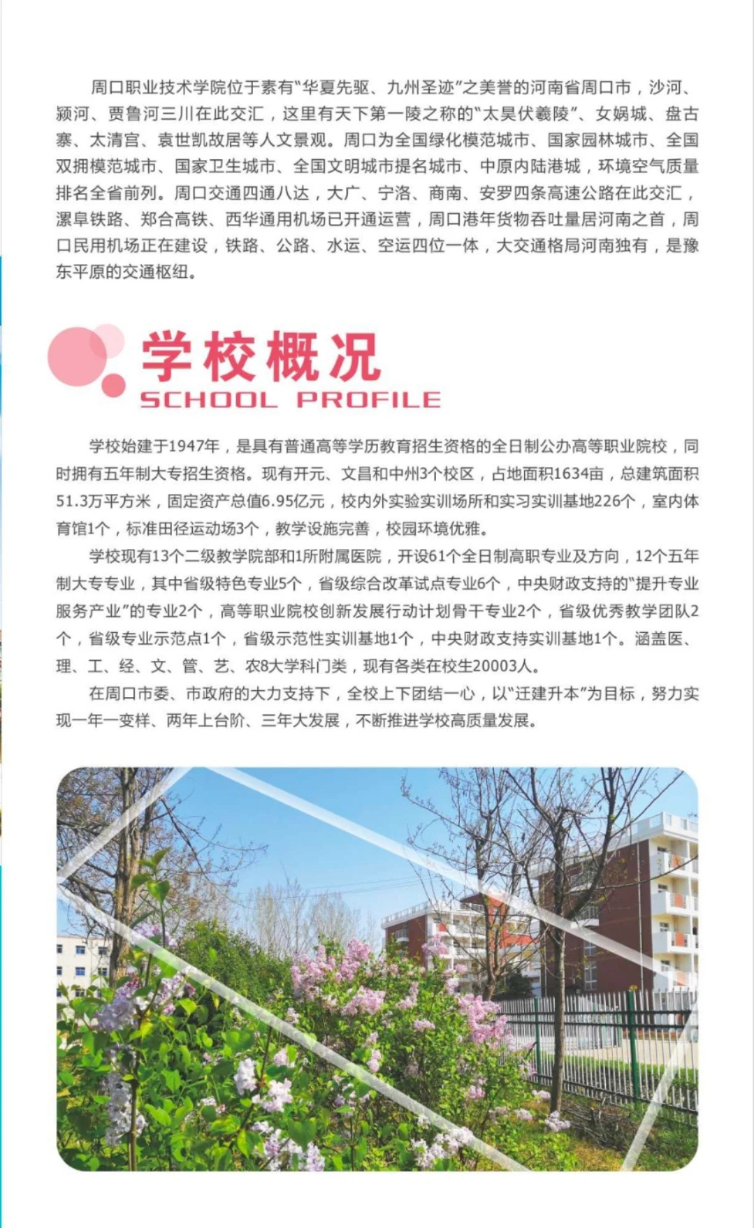 谈球吧app下载