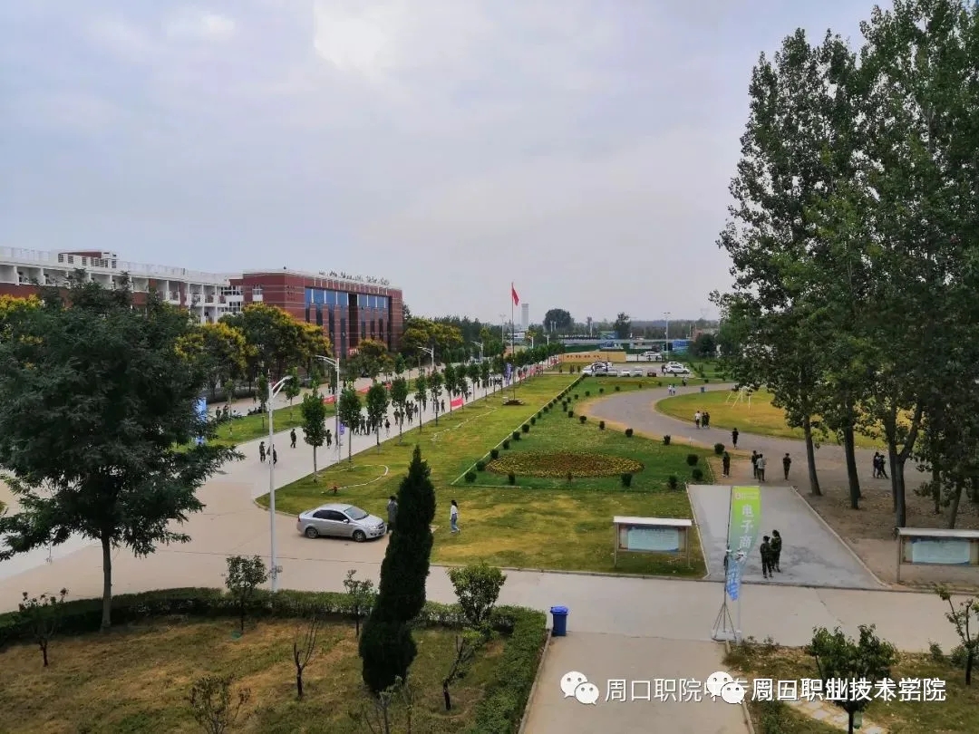 谈球吧app下载