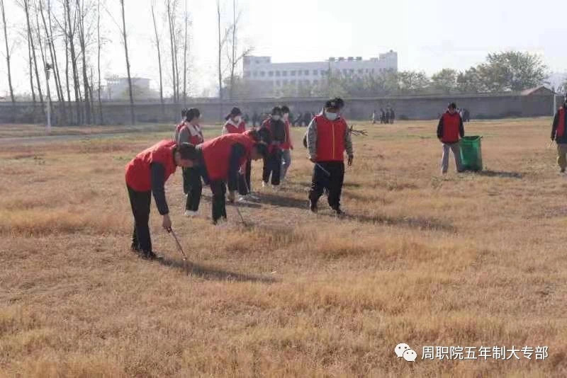 谈球吧app下载