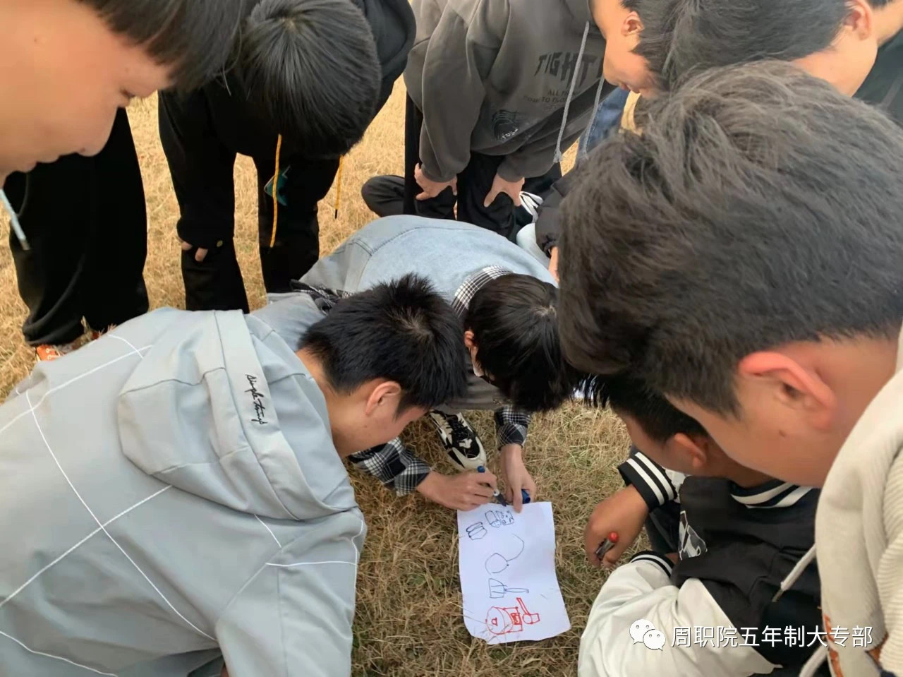 谈球吧app下载