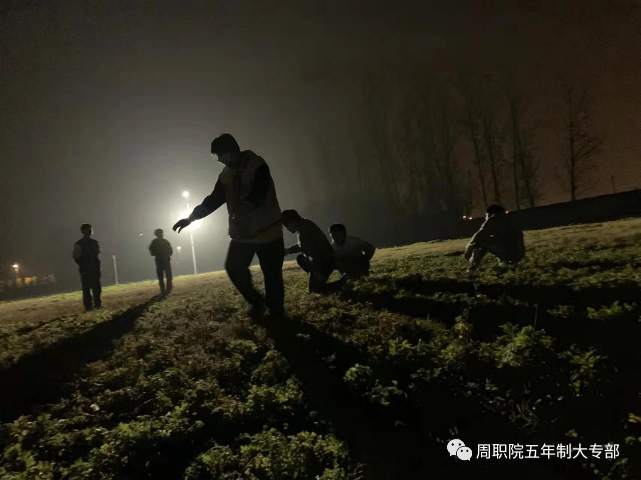 谈球吧app下载